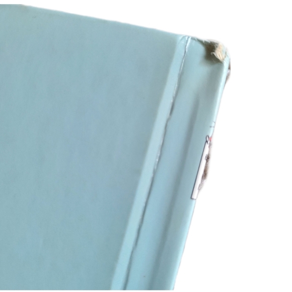 The Berenstain Bears Books Bundle, Hardcover and Paperback - Picture 6 of 10